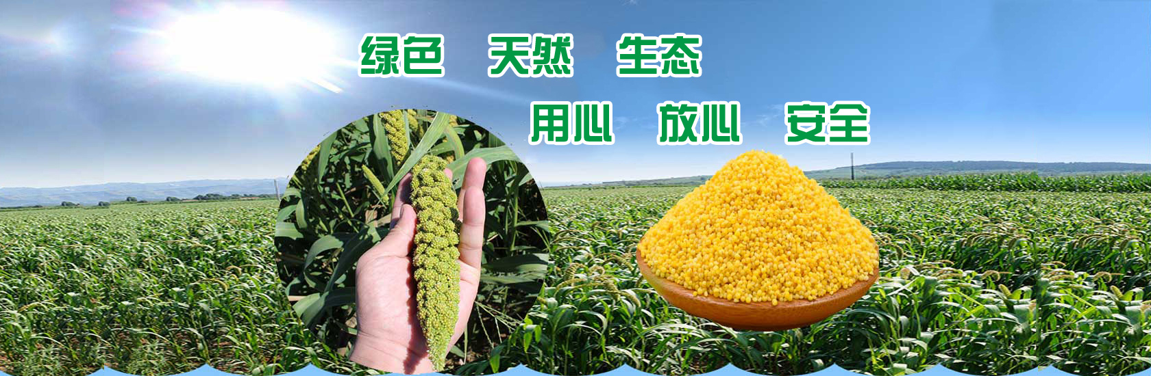 幻灯